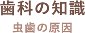 歯科の知識 虫歯の原因
