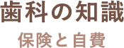 歯科の知識 保険と自費