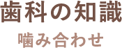 歯科の知識 噛み合わせ