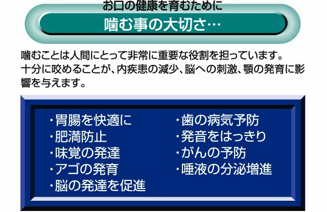 噛む事の大切さ…
