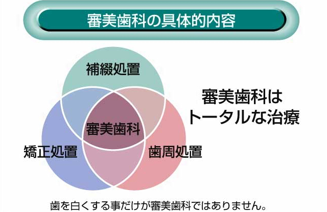 審美歯科の具体的内容